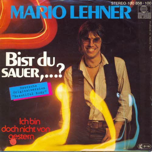 Lehner Mario - Bellamy Brothers-Coverversion