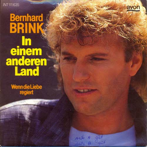 Brink Bernhard - In einem anderen Land