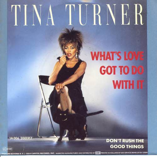 Turner Tina - What's love got to do with it (nur Cover)